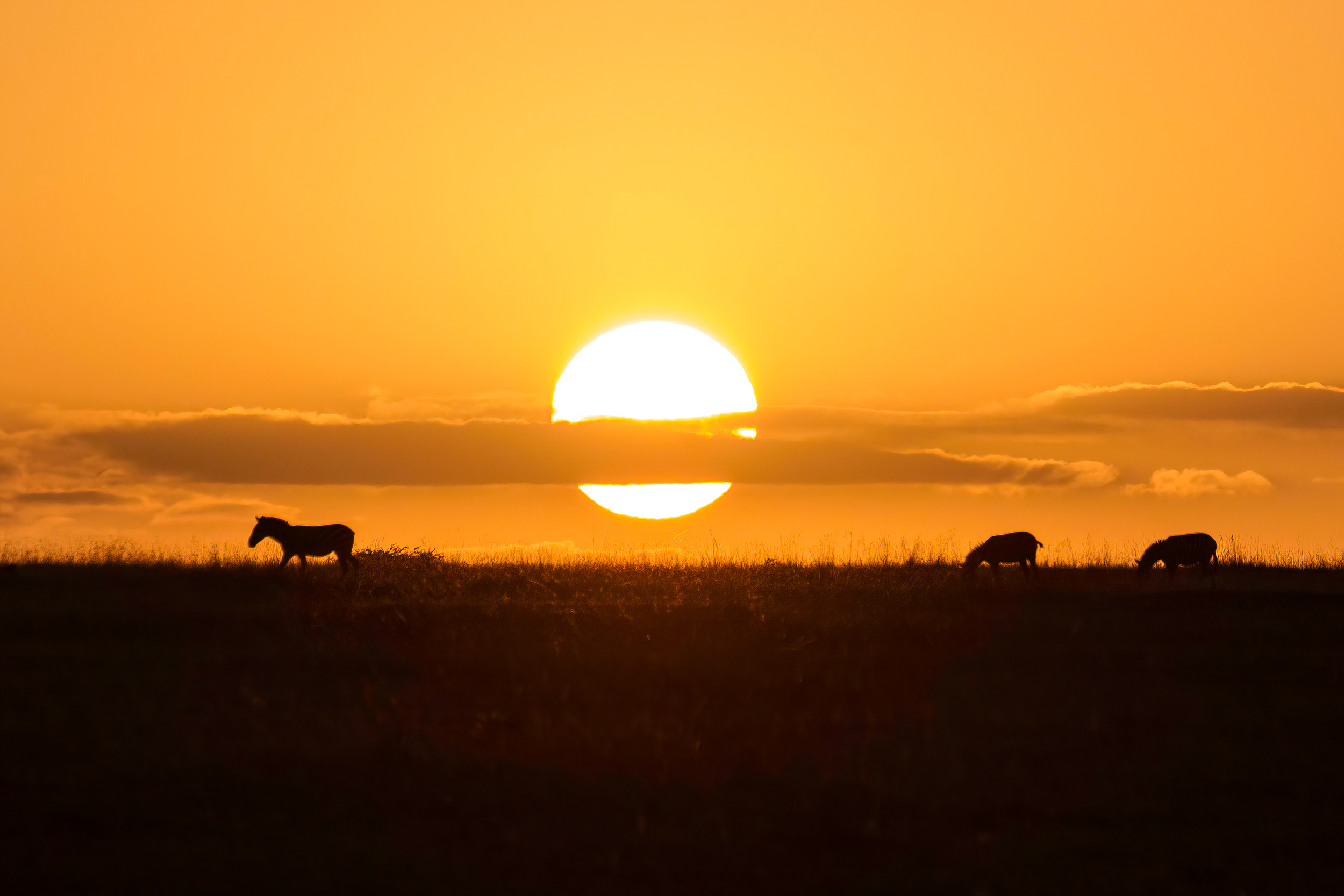 Ngorongoro Crater